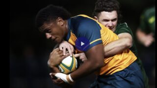 Six new faces in Nathan Grey’s Australia U20 World Championship squad