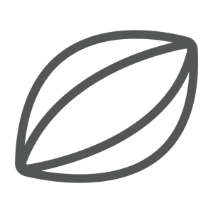 Player's Player Award